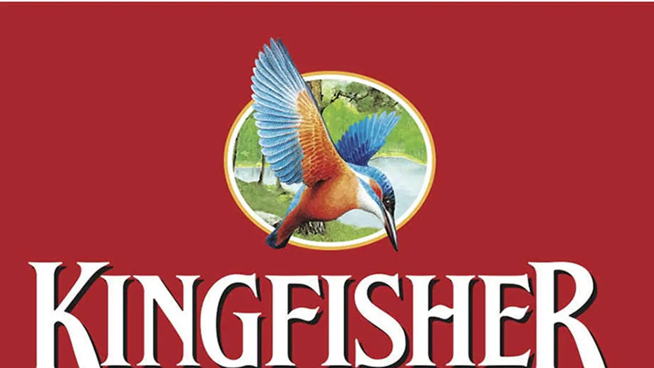 Mallya flew away just like ''Kingfisher'' bird: HC Mallya flew away just like ''Kingfisher'' bird: HC