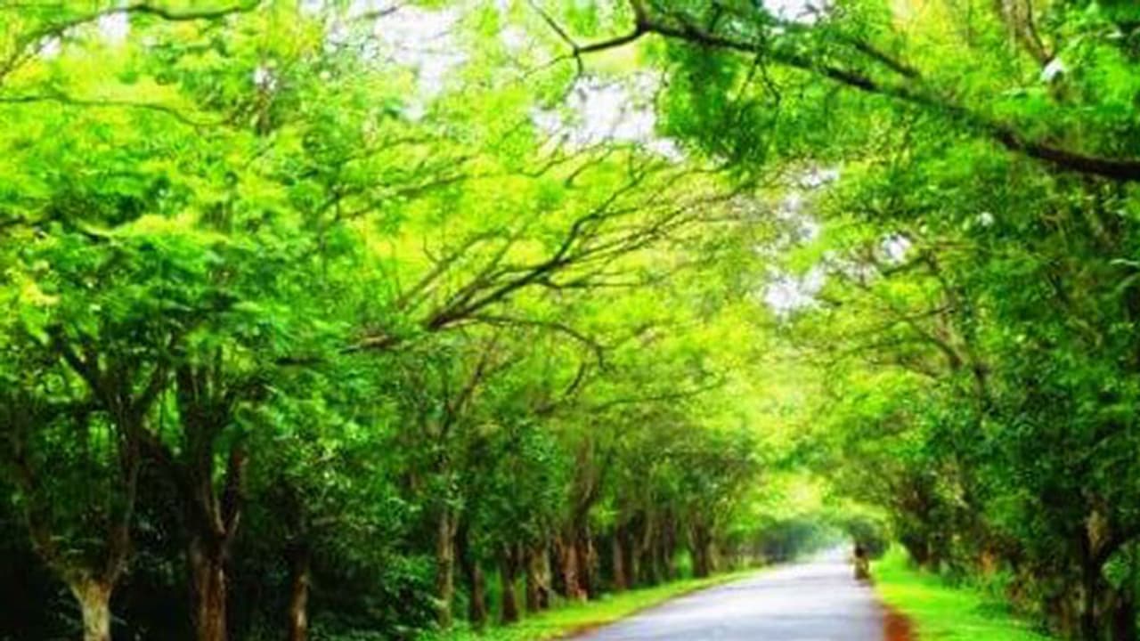 സൂക്ഷിക്കുക, ഈ റോഡുകളില് മരണം പതിയിരിപ്പുണ്ട്! സൂക്ഷിക്കുക, ഈ റോഡുകളില് മരണം പതിയിരിപ്പുണ്ട്!