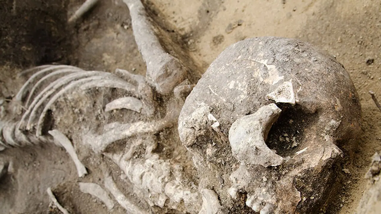 Delhi: Human skeleton recovered from school tank, probe underway