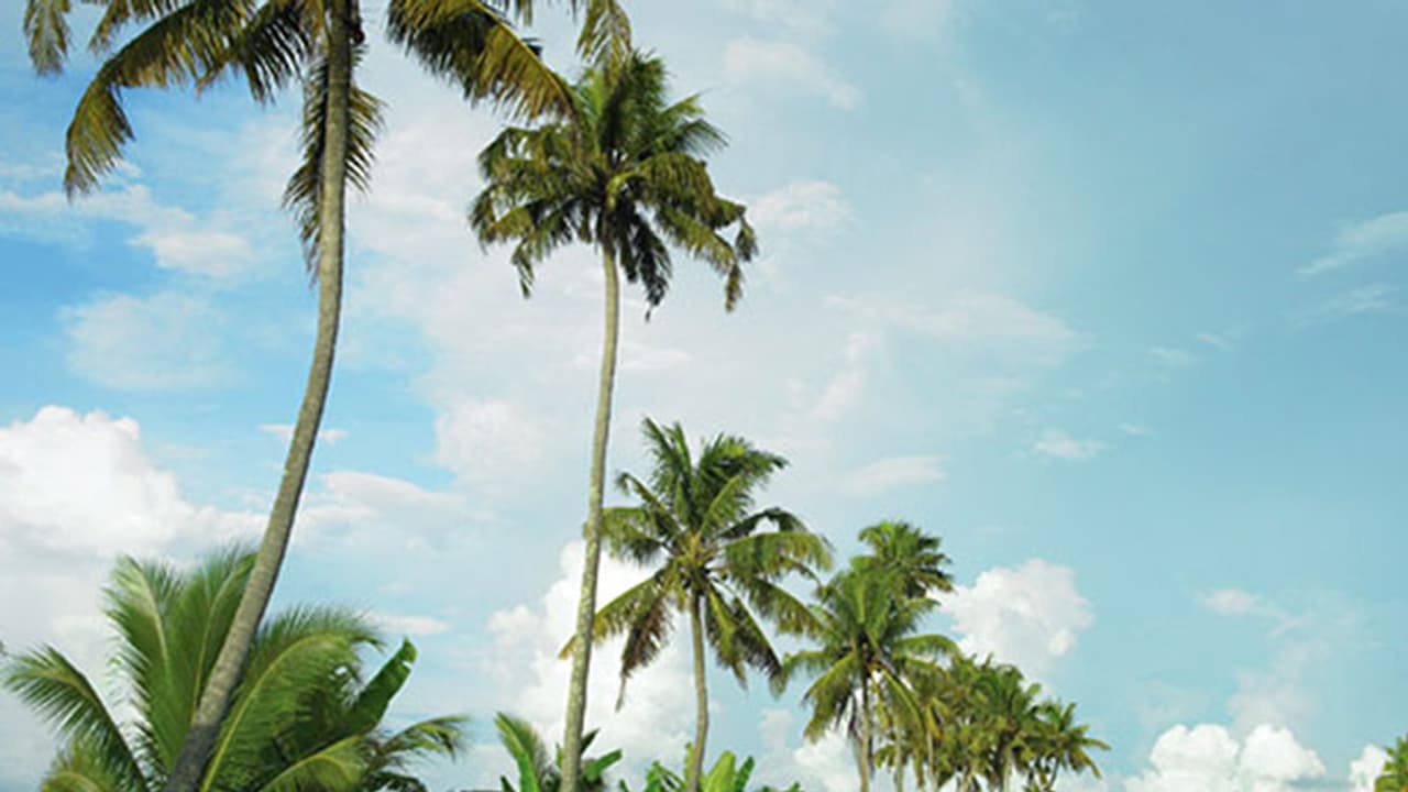 'ഇന്ത്യ കേരളത്തെ പോലെയാകണം'; ട്രെയിനില് അപ്രതീക്ഷിതമായി കണ്ട ഉത്തരേന്ത്യക്കാരന്റെ വാക്കുകള് പങ്കുവച്ച് യുവാവ് 'ഇന്ത്യ കേരളത്തെ പോലെയാകണം'; ട്രെയിനില് അപ്രതീക്ഷിതമായി കണ്ട ഉത്തരേന്ത്യക്കാരന്റെ വാക്കുകള് പങ്കുവച്ച് യുവാവ്