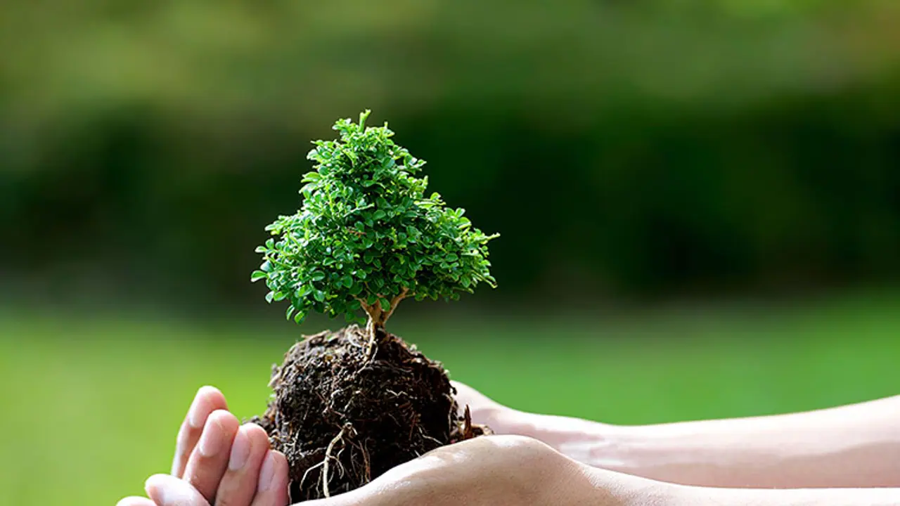 This is why BBMP's 'Green app' gives us no hope This is why BBMP's 'Green app' gives us no hope