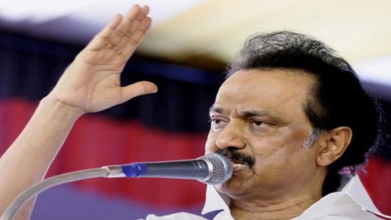 அரசியல்வாதிகள் தூய்மையானவர்களாக இருக்க வேண்டும் மு.க.ஸ்டாலின் அரசியல்வாதிகள் தூய்மையானவர்களாக இருக்க வேண்டும் மு.க.ஸ்டாலின்