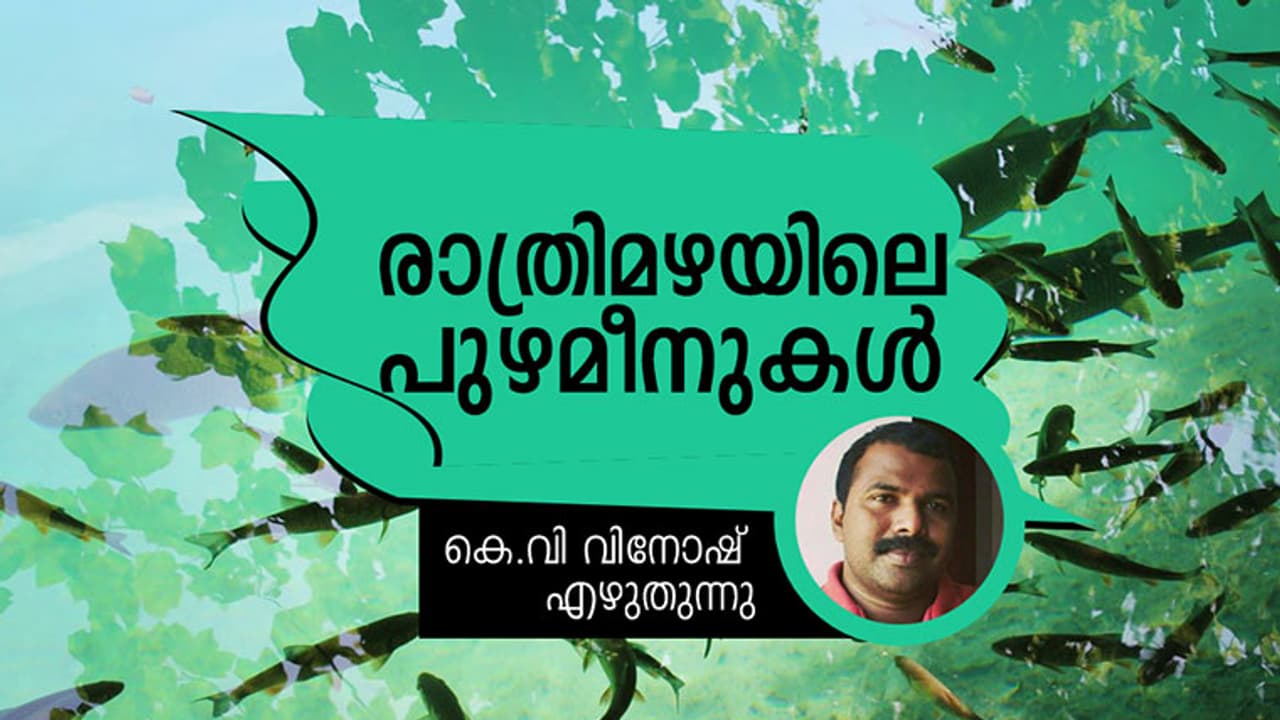 പാതിരാമഴയത്തെ പുഴയില്‍ ചൂണ്ടയിട്ടിരുന്നിട്ടുണ്ടോ?