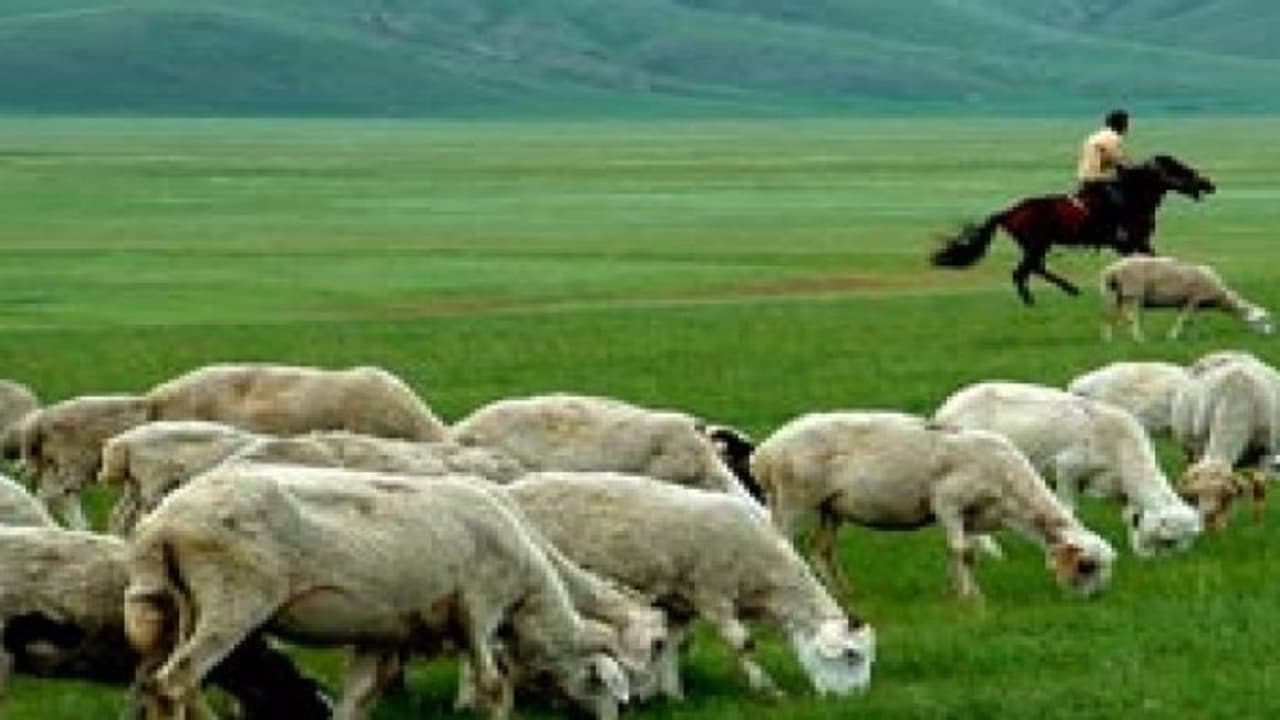 ஆடு வளர்ப்பு: பிரச்சனைகளும் தீர்வுகளும்… ஆடு வளர்ப்பு: பிரச்சனைகளும் தீர்வுகளும்…