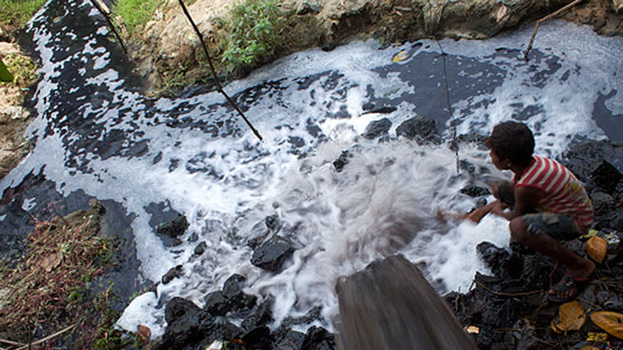 Nothing can stop these industries from polluting lakes, thanks to authorities Nothing can stop these industries from polluting lakes, thanks to authorities