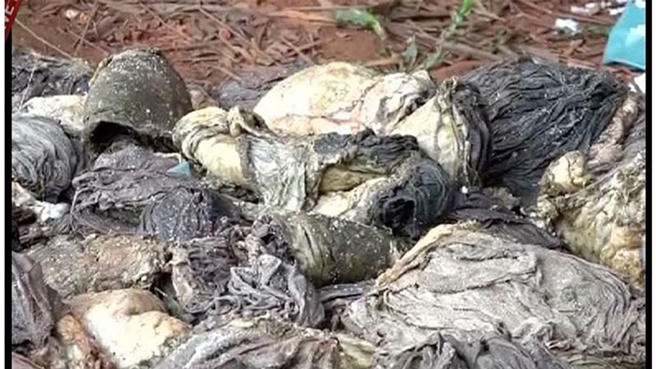 ഷവര്മ ഉണ്ടാക്കാന് കൊണ്ടുവന്ന രണ്ട് ക്വിന്റല് ഇറച്ചി മാലിന്യം പിടികൂടി ഷവര്മ ഉണ്ടാക്കാന് കൊണ്ടുവന്ന രണ്ട് ക്വിന്റല് ഇറച്ചി മാലിന്യം പിടികൂടി