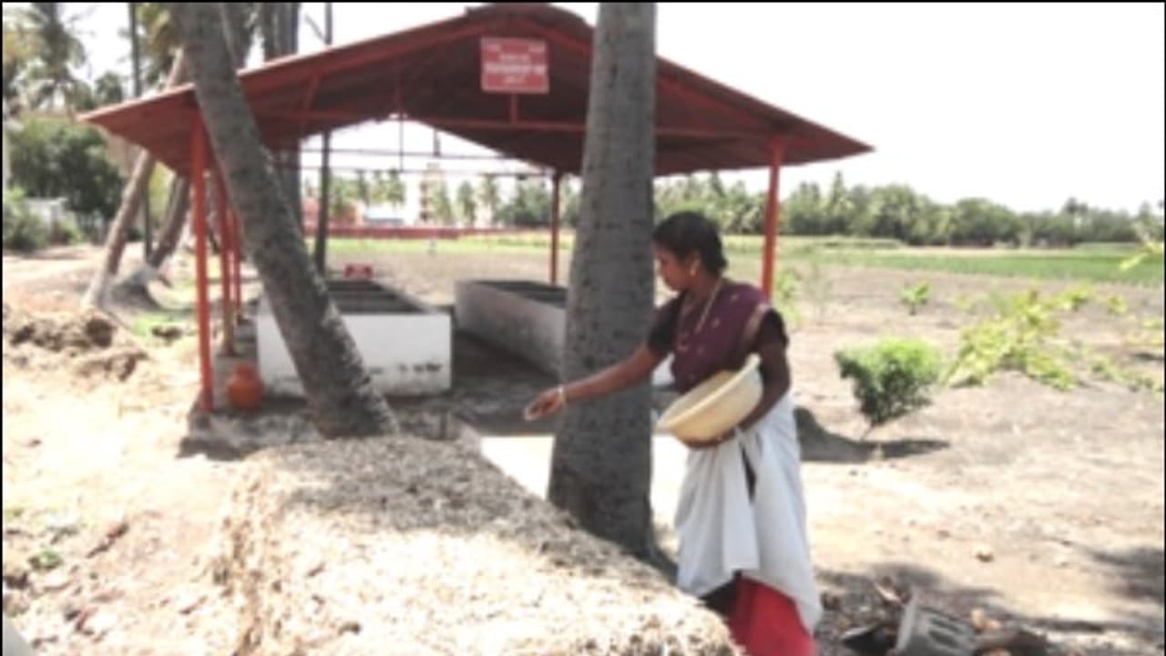 மண்புழு உரத்தினை எப்படி பயன்படுத்துவது? இதை வாசிச்சு தெரிஞ்சுக்குங்க... மண்புழு உரத்தினை எப்படி பயன்படுத்துவது? இதை வாசிச்சு தெரிஞ்சுக்குங்க...