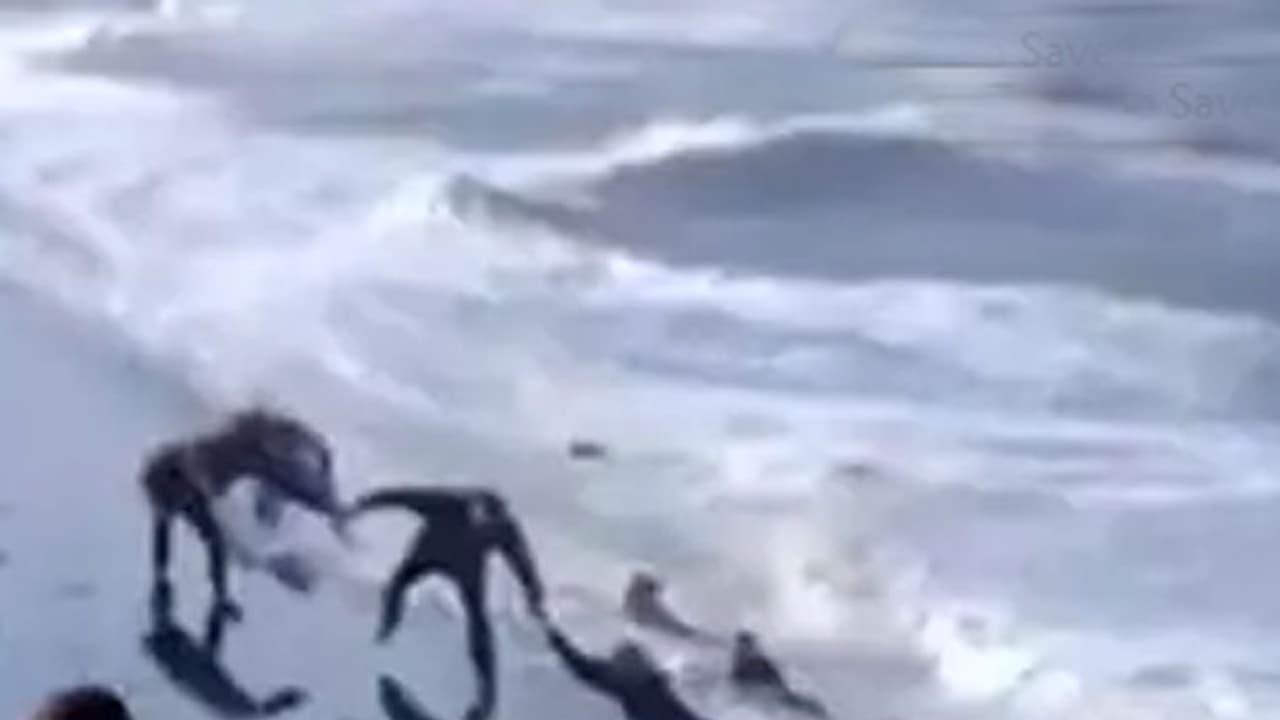 തിരമാലകള്ക്കിടയില്പ്പെട്ട ആളെ രക്ഷിക്കുന്നതിനിടെ സഹായിക്കാനെത്തിവര്ക്ക് സംഭവിച്ചത് തിരമാലകള്ക്കിടയില്പ്പെട്ട ആളെ രക്ഷിക്കുന്നതിനിടെ സഹായിക്കാനെത്തിവര്ക്ക് സംഭവിച്ചത്