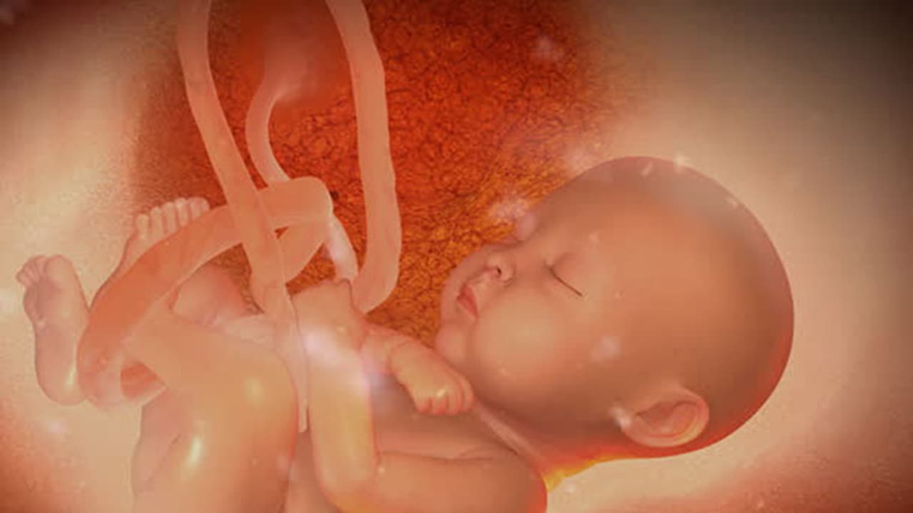 ಯೂ ಟ್ಯೂಬ್ ನೋಡಿ ಹೆರಿಗೆ ಮಾಡಿಕೊಂಡು ಶಿಕ್ಷಕಿ ಸಾವು ಯೂ ಟ್ಯೂಬ್ ನೋಡಿ ಹೆರಿಗೆ ಮಾಡಿಕೊಂಡು ಶಿಕ್ಷಕಿ ಸಾವು