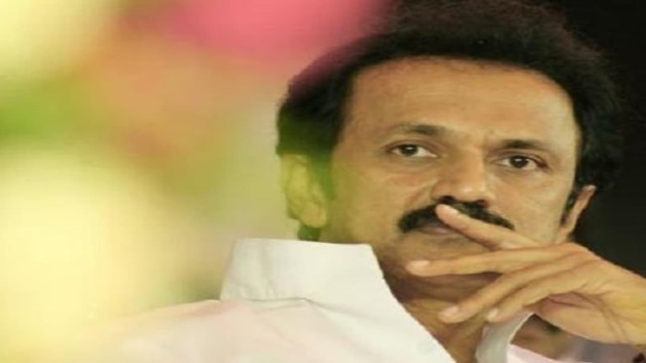 "துரோகங்களை உரமாக்கி பொலிவுடன் திகழ்கிறது திமுக" ஸ்டாலின் பெருமிதம் "துரோகங்களை உரமாக்கி பொலிவுடன் திகழ்கிறது திமுக" ஸ்டாலின் பெருமிதம்