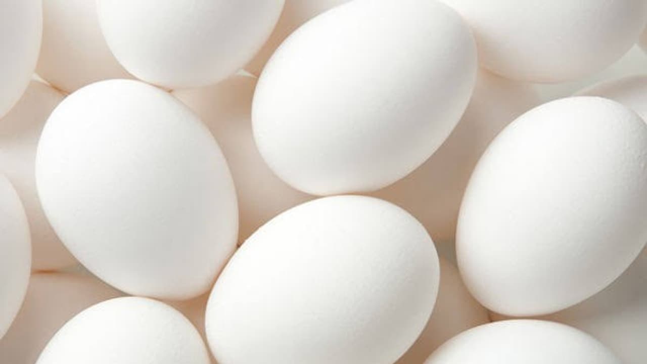 கோழி முட்டை ஓடு உருவாக 20 மணிநேரம் ஆகும் தெரியுமா? கோழி முட்டை ஓடு உருவாக 20 மணிநேரம் ஆகும் தெரியுமா?