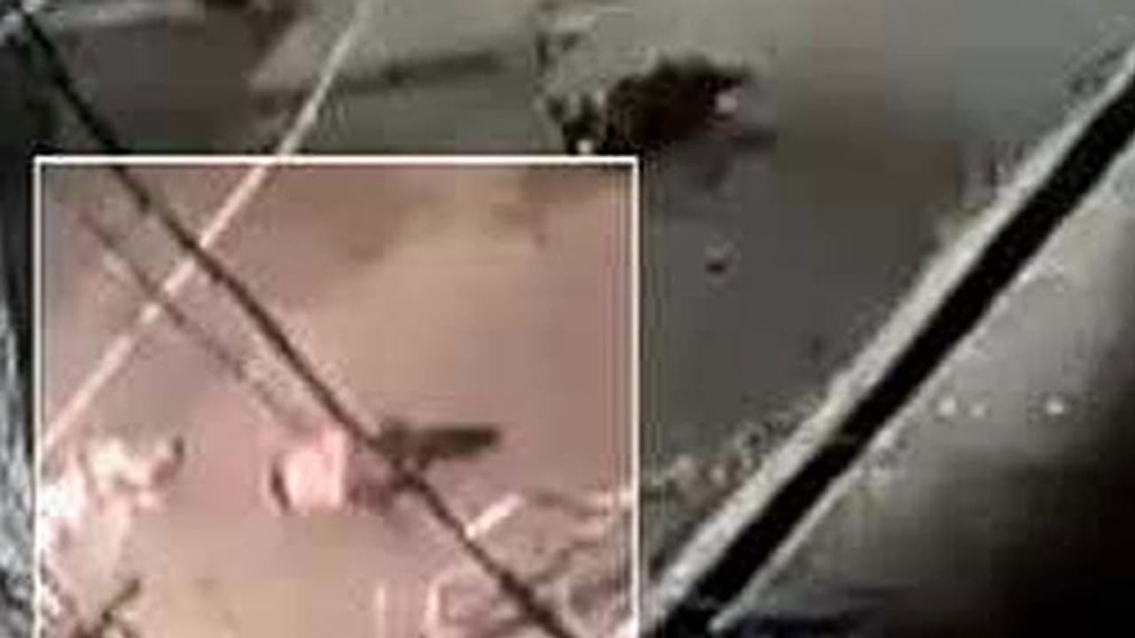 കാറിടിച്ച് തെറിപ്പിച്ച ട്രാഫിക് പൊലീസുകാരന് ആരുംസഹായിക്കാതെ റോഡില് കിടന്ന് മരിച്ചു കാറിടിച്ച് തെറിപ്പിച്ച ട്രാഫിക് പൊലീസുകാരന് ആരുംസഹായിക്കാതെ റോഡില് കിടന്ന് മരിച്ചു