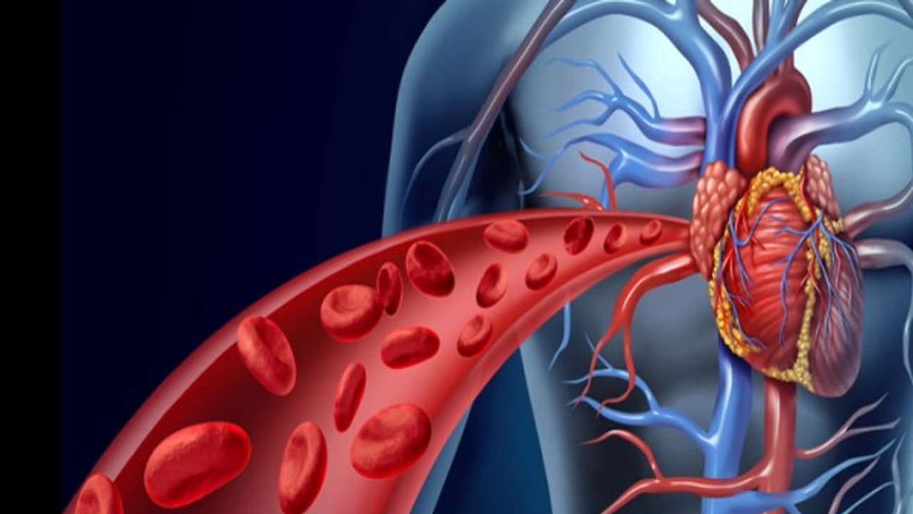 செலவே இல்லாமல் நம் உடம்பிலுள்ள இரத்தத்தை இப்படிதான் சுத்திகரிக்கணும்... 