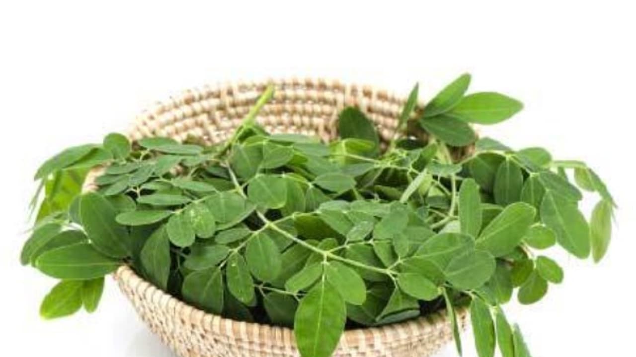 உயிர்ச் சத்துகளை அதிகம் கொண்ட முருங்கைக் கீரையின் அரிய மருத்துவ குணங்கள்… உயிர்ச் சத்துகளை அதிகம் கொண்ட முருங்கைக் கீரையின் அரிய மருத்துவ குணங்கள்…