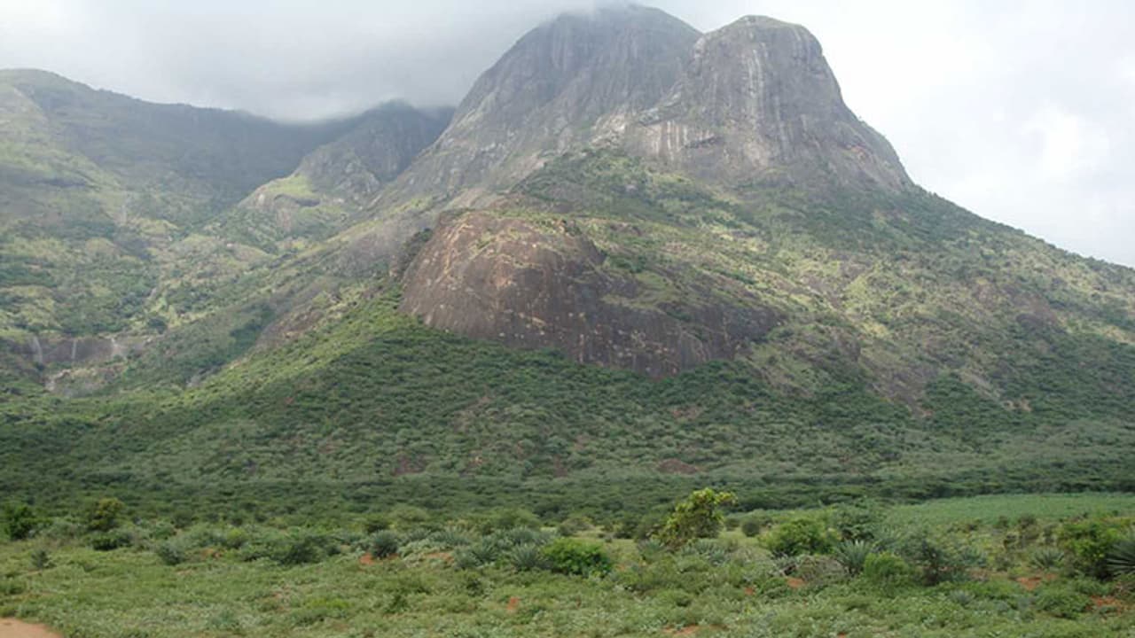 Save Theni from India based Neutrino Observatory: Residents fight controversial project in Tamil Nadu Save Theni from India based Neutrino Observatory: Residents fight controversial project in Tamil Nadu