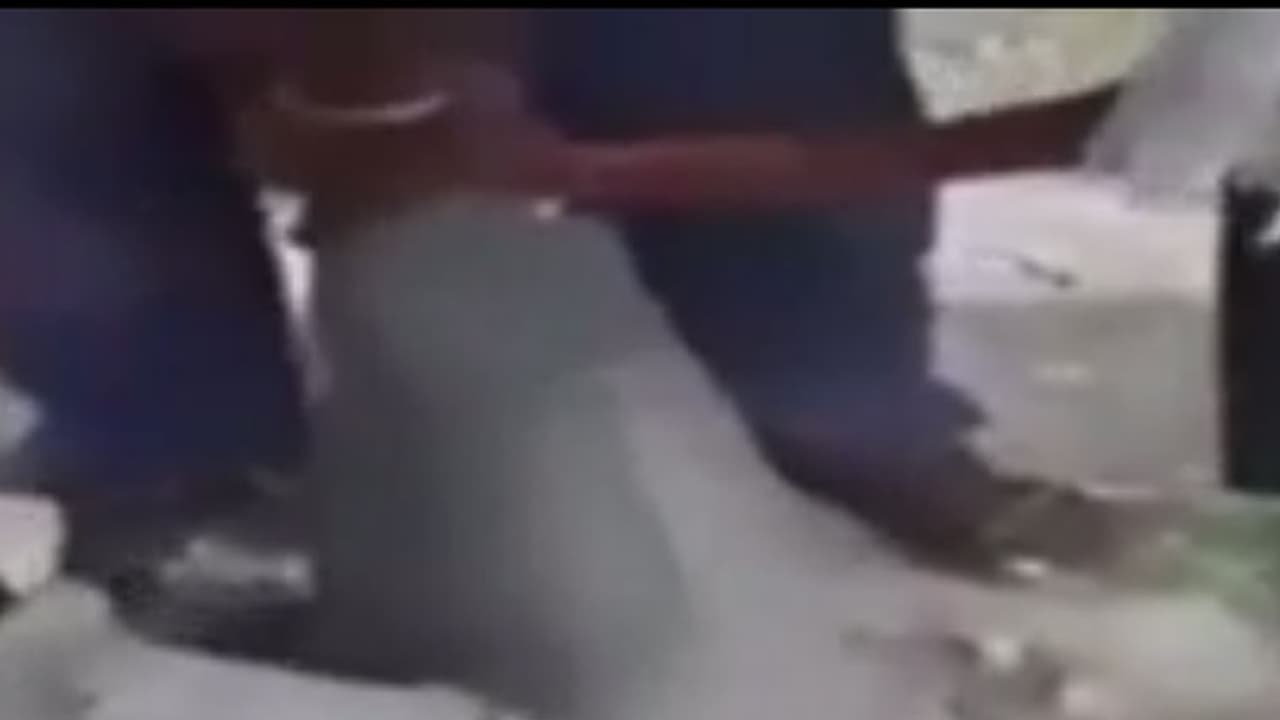 (వీడియో) మేకపిల్ల కోసం బోరు బావిలోకి.... (వీడియో) మేకపిల్ల కోసం బోరు బావిలోకి....