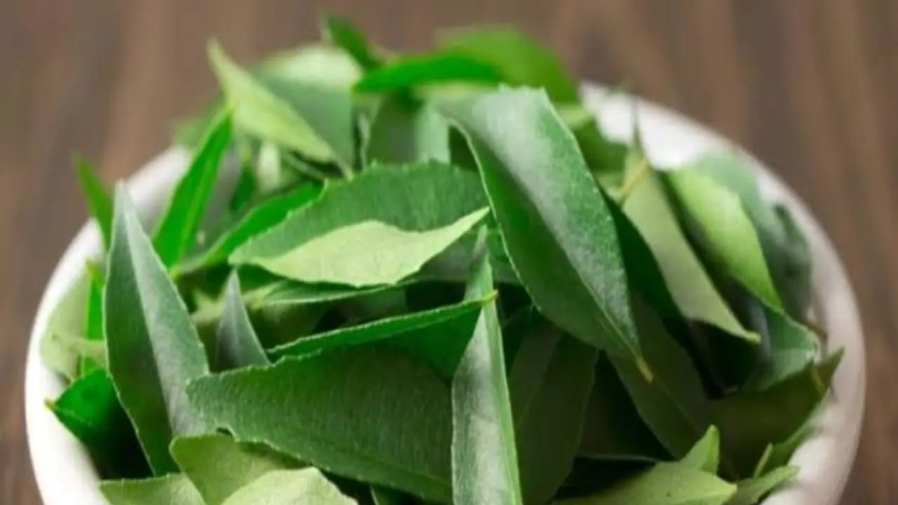 முடி வளர்ச்சியை தூண்டவும், முடி நரைப்பதை தடுக்கவும் உதவும் கறிவேப்பிலை டானிக்... முடி வளர்ச்சியை தூண்டவும், முடி நரைப்பதை தடுக்கவும் உதவும் கறிவேப்பிலை டானிக்...