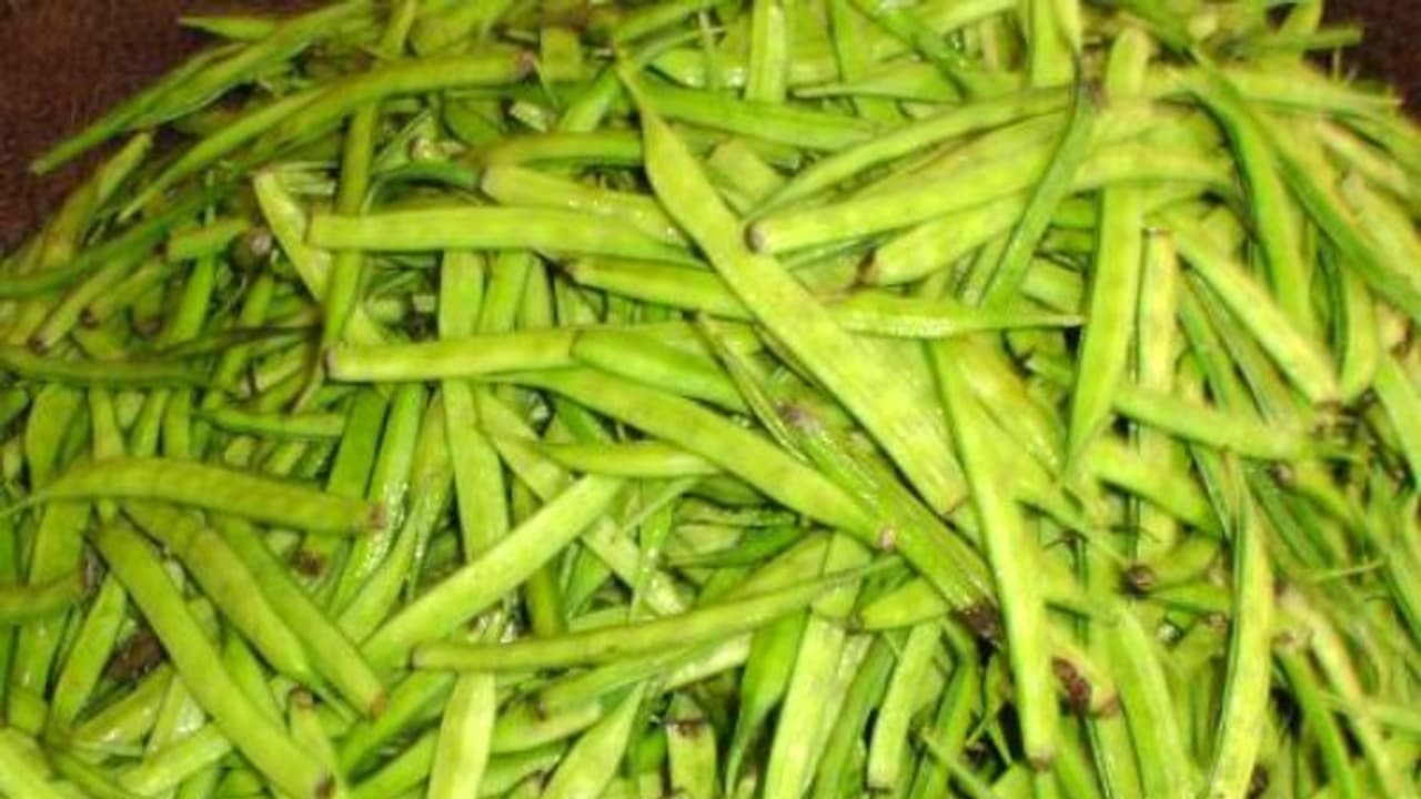 கொத்தவரையை வீட்டில் எப்படி வளர்க்கலாம்? இதை வாசிச்சு தெரிஞ்சு பயிரிடுங்கள்... கொத்தவரையை வீட்டில் எப்படி வளர்க்கலாம்? இதை வாசிச்சு தெரிஞ்சு பயிரிடுங்கள்...