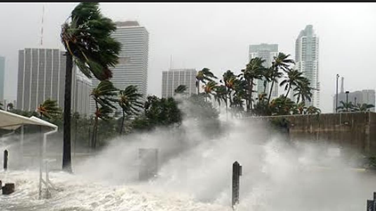 ഓഖി: മഴക്കെടുതിയിൽ തമിഴ്നാട്ടിൽ മരണ സംഖ്യ ഉയര്ന്നു ഓഖി: മഴക്കെടുതിയിൽ തമിഴ്നാട്ടിൽ മരണ സംഖ്യ ഉയര്ന്നു
