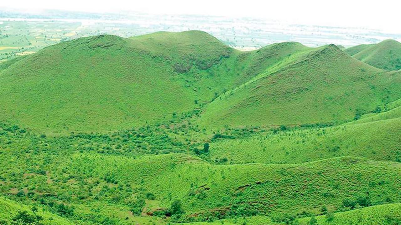 ಕಪ್ಪತ್ತಗುಡ್ಡದ ತಂಟೆಗೆ ಬಂದರೆ ಹೋರಾಟ: ಸರ್ಕಾರಕ್ಕೆ ತೋಂಟದ ಶ್ರೀ ಖಡಕ್ ಎಚ್ಚರಿಕೆ ಕಪ್ಪತ್ತಗುಡ್ಡದ ತಂಟೆಗೆ ಬಂದರೆ ಹೋರಾಟ: ಸರ್ಕಾರಕ್ಕೆ ತೋಂಟದ ಶ್ರೀ ಖಡಕ್ ಎಚ್ಚರಿಕೆ