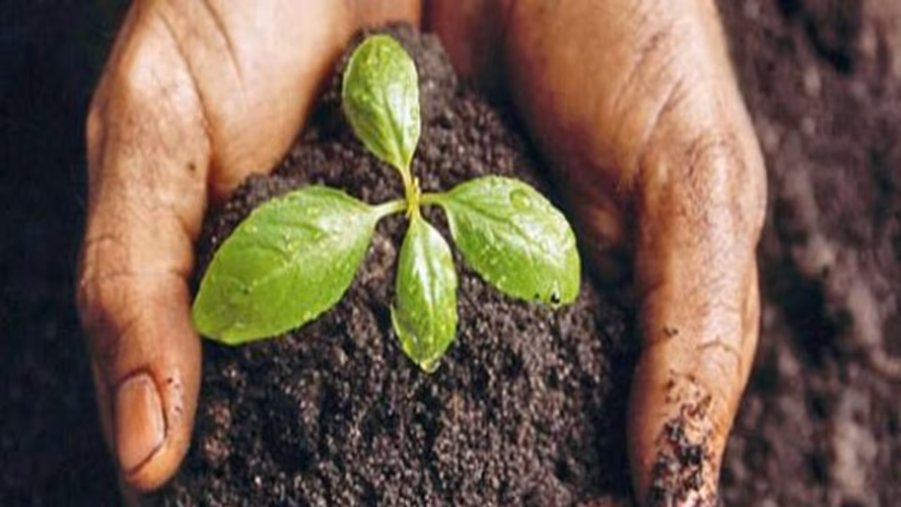 எந்ததெந்த மண்ணில் எந்தெந்த பயிர்களை விளைவிக்கணும்? தெரிஞ்சுக்க இதை வாசிங்க... எந்ததெந்த மண்ணில் எந்தெந்த பயிர்களை விளைவிக்கணும்? தெரிஞ்சுக்க இதை வாசிங்க...