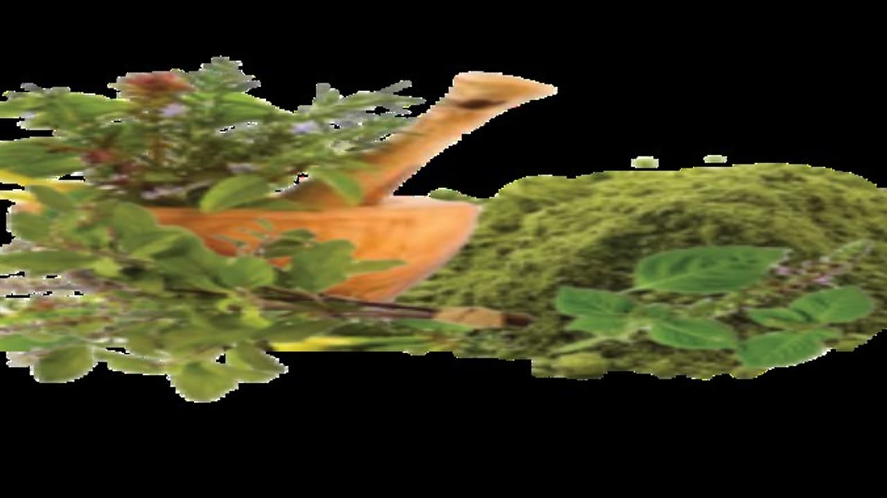 உடல் பிரச்சனையை மட்டுமல்ல சரும பிரச்சனையையும் போக்கும் “துளசி”… உடல் பிரச்சனையை மட்டுமல்ல சரும பிரச்சனையையும் போக்கும் “துளசி”…