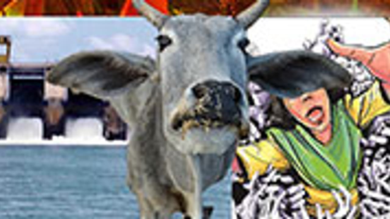 Holy Cow Is Karnataka BJP concentrating on Gau Raksha than development Holy Cow Is Karnataka BJP concentrating on Gau Raksha than development