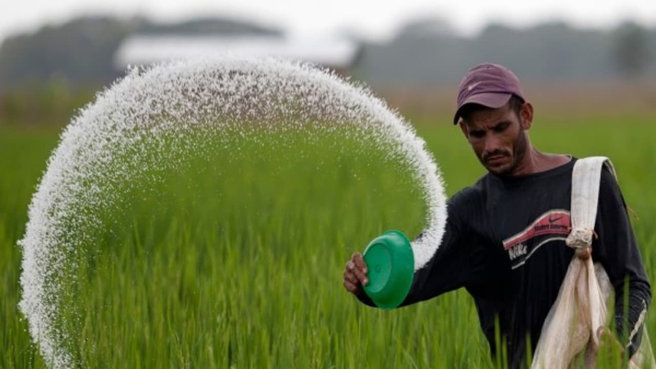 இயற்கை உரத்தை வீட்டிலேயே எப்படி தயாரிப்பது? தெரிஞ்சுக்க இதை வாசிங்க... இயற்கை உரத்தை வீட்டிலேயே எப்படி தயாரிப்பது? தெரிஞ்சுக்க இதை வாசிங்க...