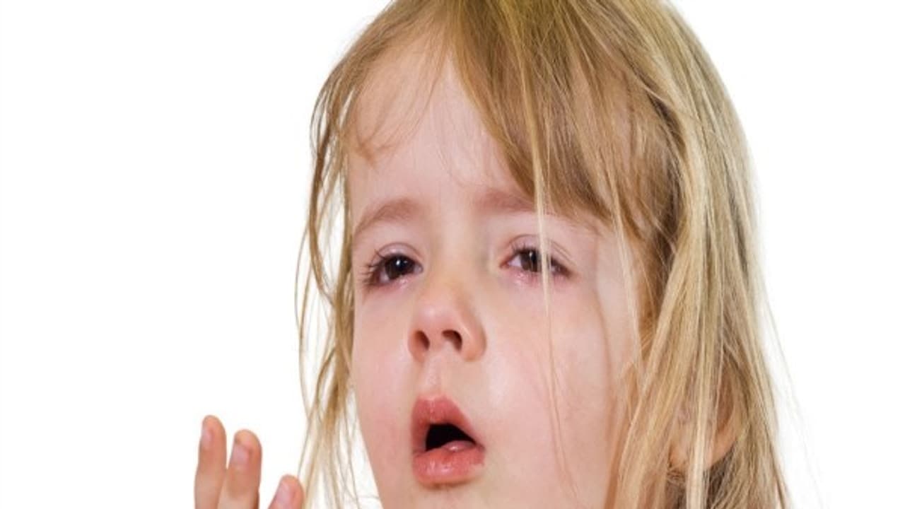 மிக மிக உடனடியாக ஜலதோசத்தை குணப்படுத்தும் சித்த மருந்துகள் இதோ...