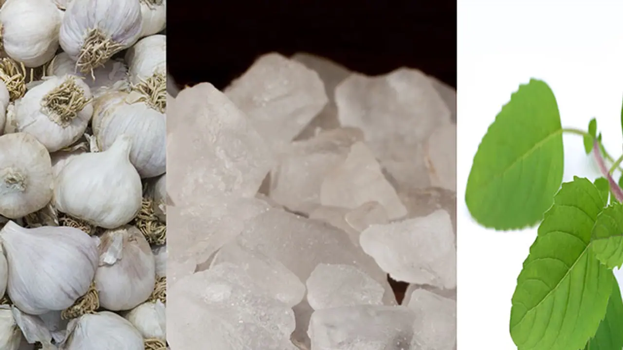 5 home remedies that work as mosquito repellents during monsoon