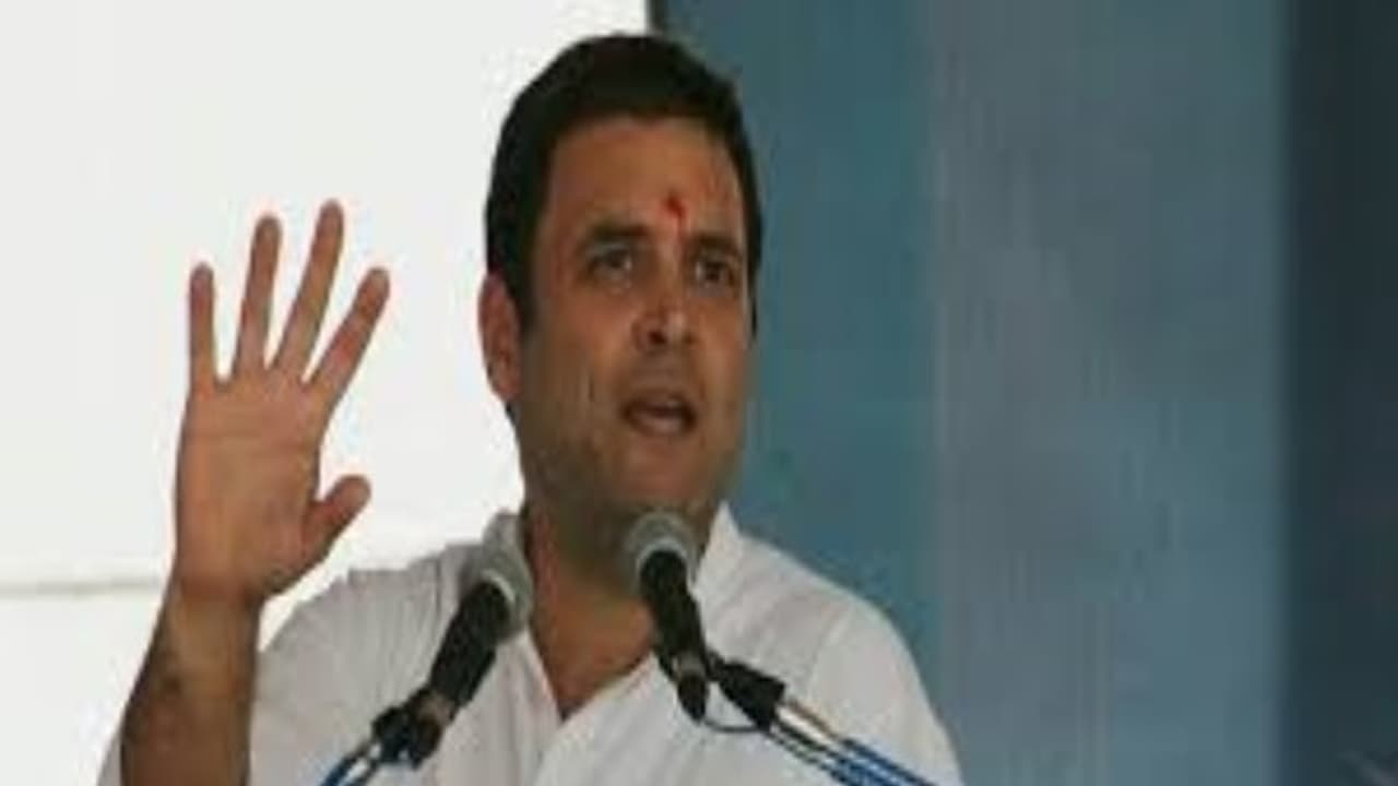 16 ந் தேதி காங்கிரஸ் தலைவராக ராகுல் காந்தி பதவி ஏற்பு......முறையான அறிவிப்பு இன்று வெளியாகிறது