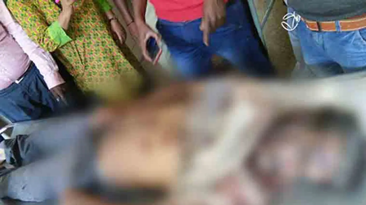 Forest fire: IFS officer killed in elephant attack in Mysuru [PIcs]