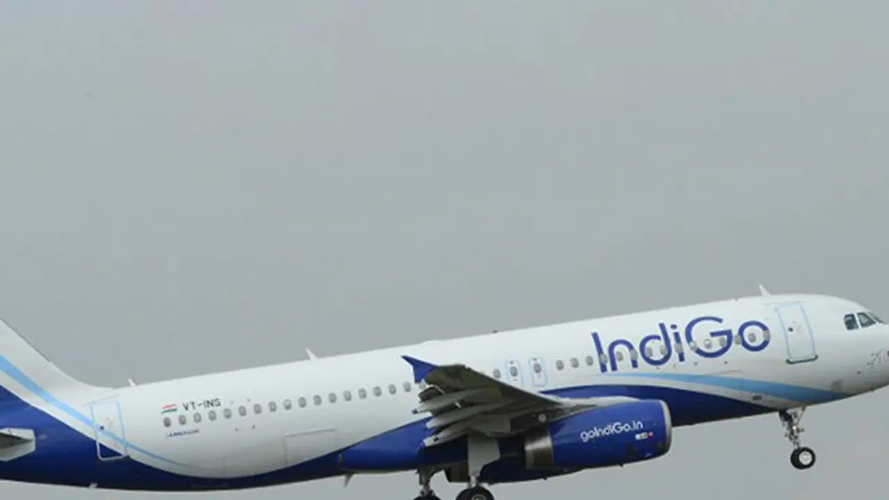 കൊതുക് ശല്യം പരാതിപ്പെട്ട യാത്രക്കാരനെ ഇന്റിഗോ വിമാനത്തില്നിന്ന് ഇറക്കിവിട്ടു കൊതുക് ശല്യം പരാതിപ്പെട്ട യാത്രക്കാരനെ ഇന്റിഗോ വിമാനത്തില്നിന്ന് ഇറക്കിവിട്ടു