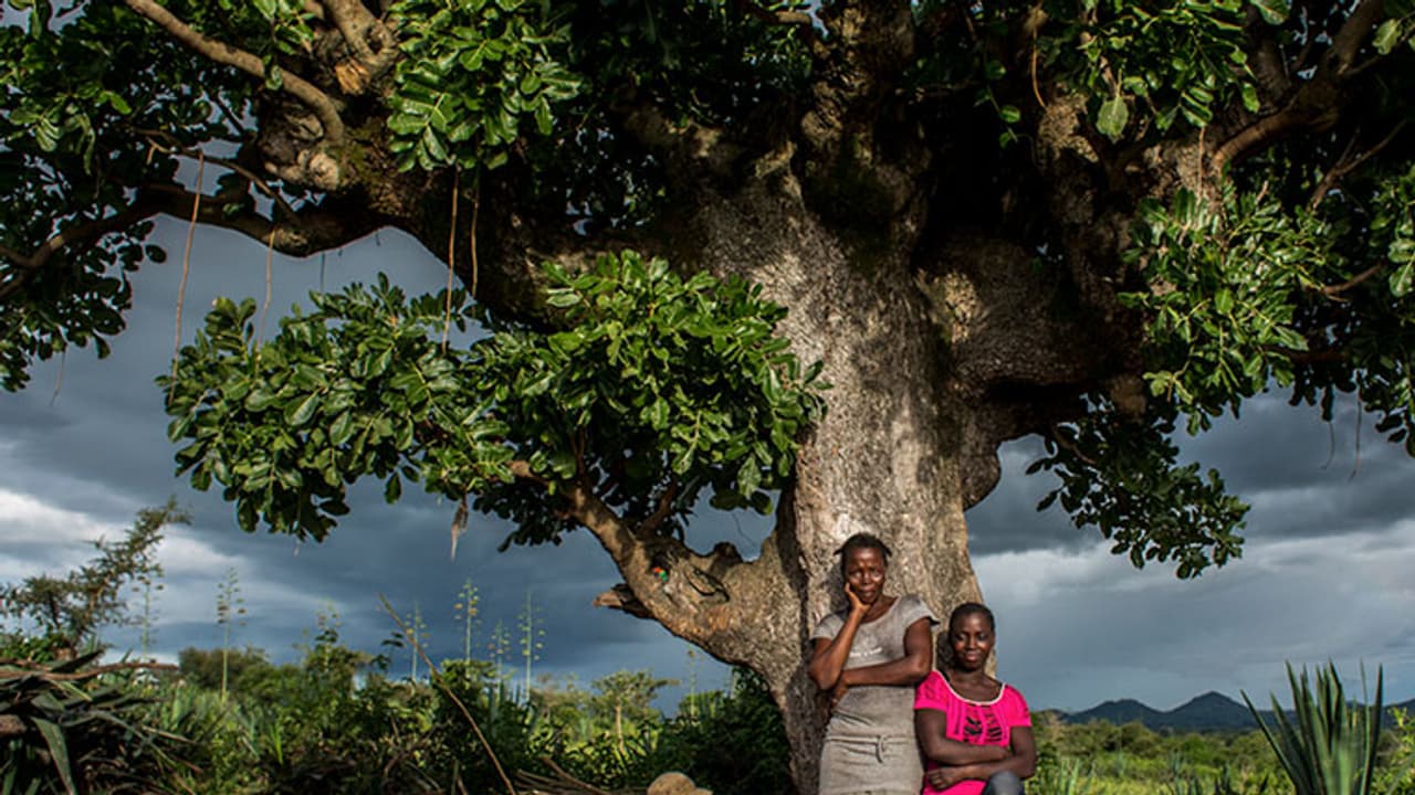 ഇവിടെ സ്ത്രീകള് സ്ത്രീകളെ വിവാഹം കഴിക്കും ഇവിടെ സ്ത്രീകള് സ്ത്രീകളെ വിവാഹം കഴിക്കും