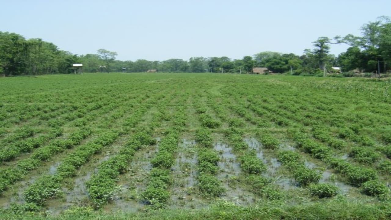 ಧಾರವಾಡ ಕೃಷಿ ಮೇಳ: ಬರಗಾಲ ಎದುರಿಸಲು ಇಸ್ರೇಲ್ ಕೃಷಿ ಮಾದರಿ ಯೋಗ್ಯ! ಧಾರವಾಡ ಕೃಷಿ ಮೇಳ: ಬರಗಾಲ ಎದುರಿಸಲು ಇಸ್ರೇಲ್ ಕೃಷಿ ಮಾದರಿ ಯೋಗ್ಯ!