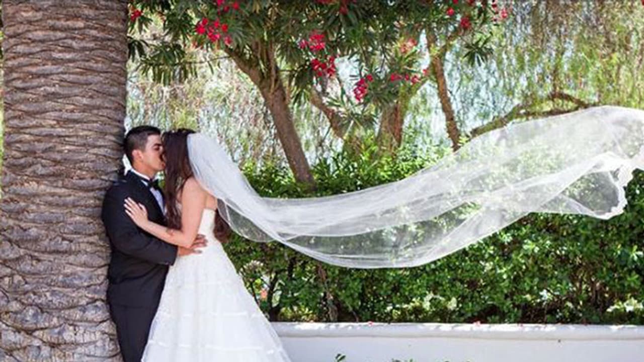 അന്തരീക്ഷത്തിലൂടെ പറന്ന് വന്ന് വധുവിന്റെ തലയില് വീഴുന്ന മൂടുപടം; വൈറലായി വീഡിയോ അന്തരീക്ഷത്തിലൂടെ പറന്ന് വന്ന് വധുവിന്റെ തലയില് വീഴുന്ന മൂടുപടം; വൈറലായി വീഡിയോ