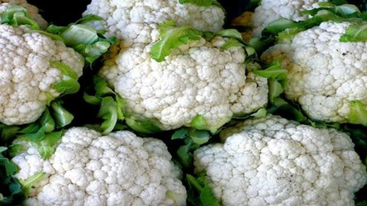 உங்களுக்குத் தெரியுமா? காலிஃபிளவர் நம் உடலுக்கு அதிக ஆற்றலை தருகிறது… உங்களுக்குத் தெரியுமா? காலிஃபிளவர் நம் உடலுக்கு அதிக ஆற்றலை தருகிறது…