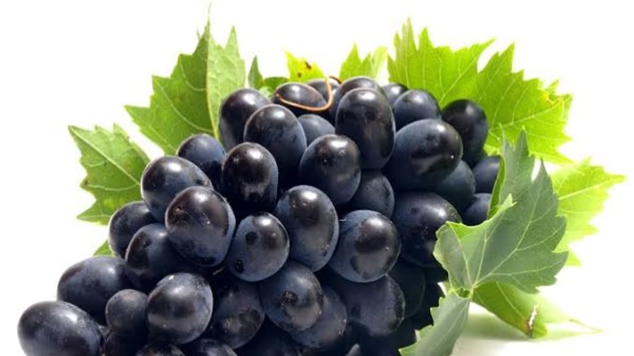 உங்களுக்குத் தெரியுமா? எல்லா வகையான திராட்சையிலும் வைட்டமின் ஏ சத்து அதிகளவில் இருக்கிறது…