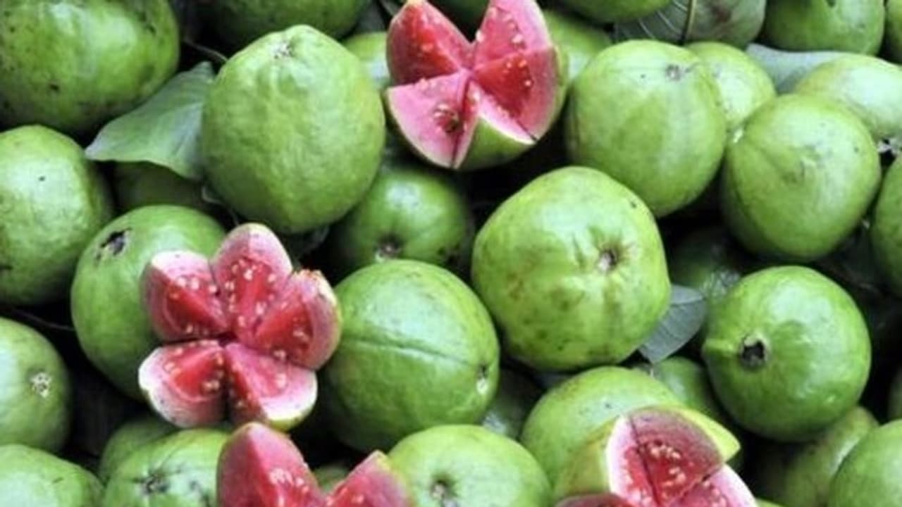 குறைந்த விலையில் கிடைக்கும் கொய்யாவில் நிறைந்திருக்கும் மருத்துவ குணங்கள்...