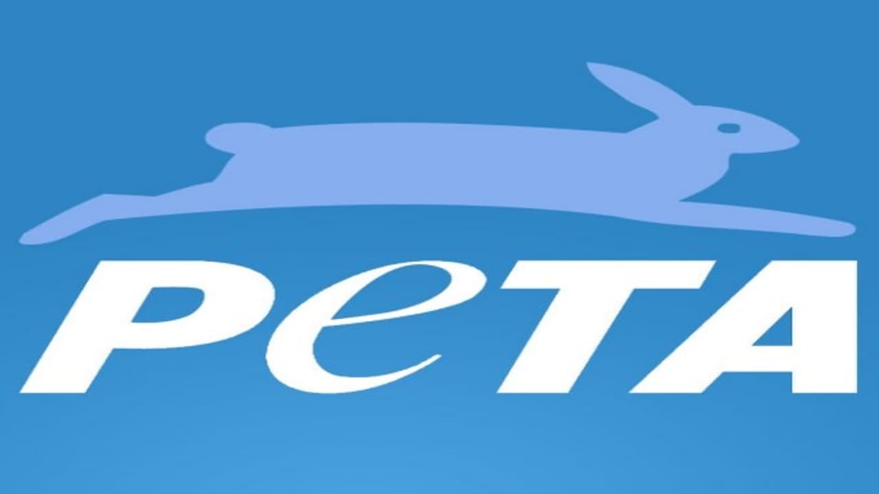 ‘மீண்டும் நுழைகிறது பீட்டா' ஜல்லிக்கட்டை விட்டுட்டாங்க, கோழிக்கு வந்துட்டாங்க... ‘மீண்டும் நுழைகிறது பீட்டா' ஜல்லிக்கட்டை விட்டுட்டாங்க, கோழிக்கு வந்துட்டாங்க...