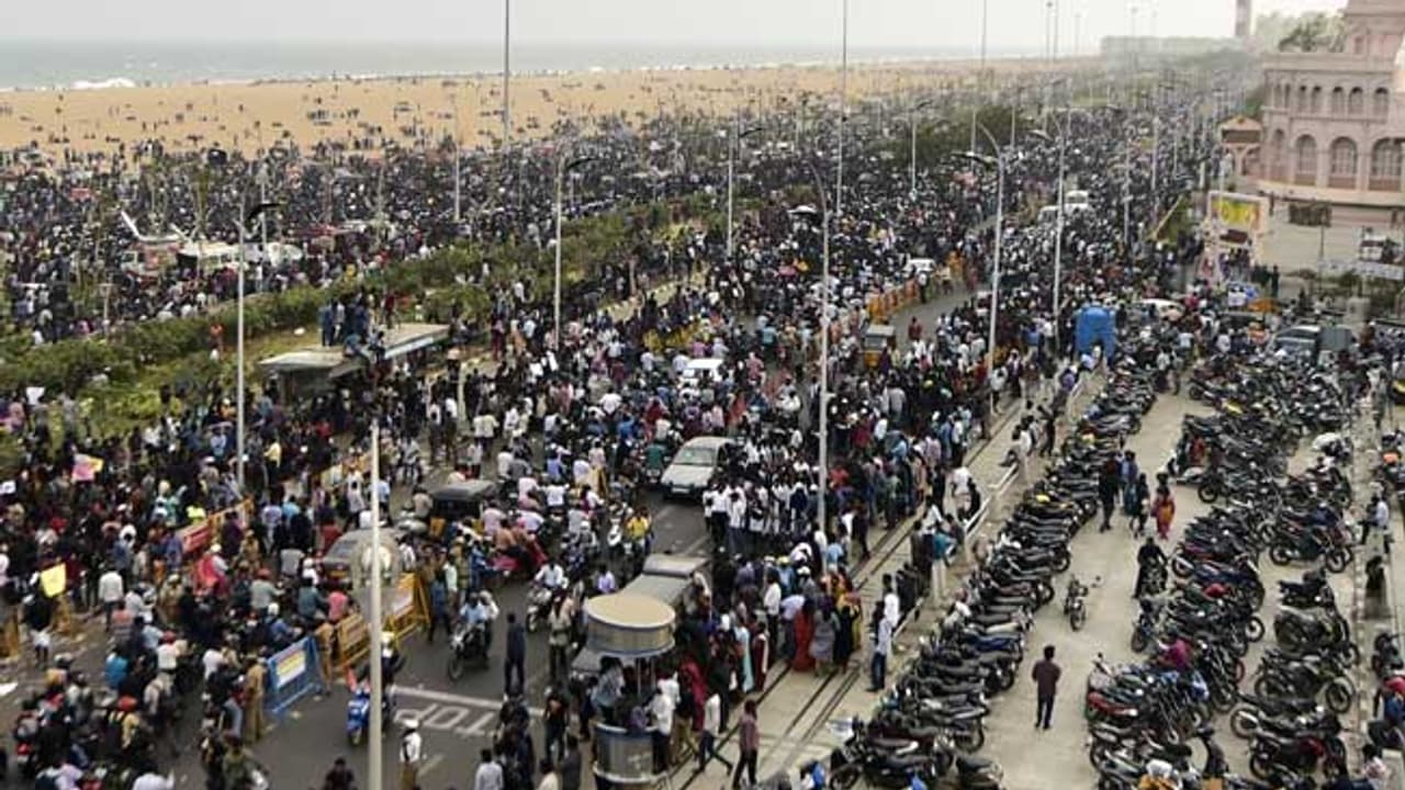 ஜல்லிக்கட்டு போராட்ட வெற்றியின் போது எடுத்த ஒரு உறுதிமொழி நியாபகம் இருக்கா..? ஜல்லிக்கட்டு போராட்ட வெற்றியின் போது எடுத்த ஒரு உறுதிமொழி நியாபகம் இருக்கா..?