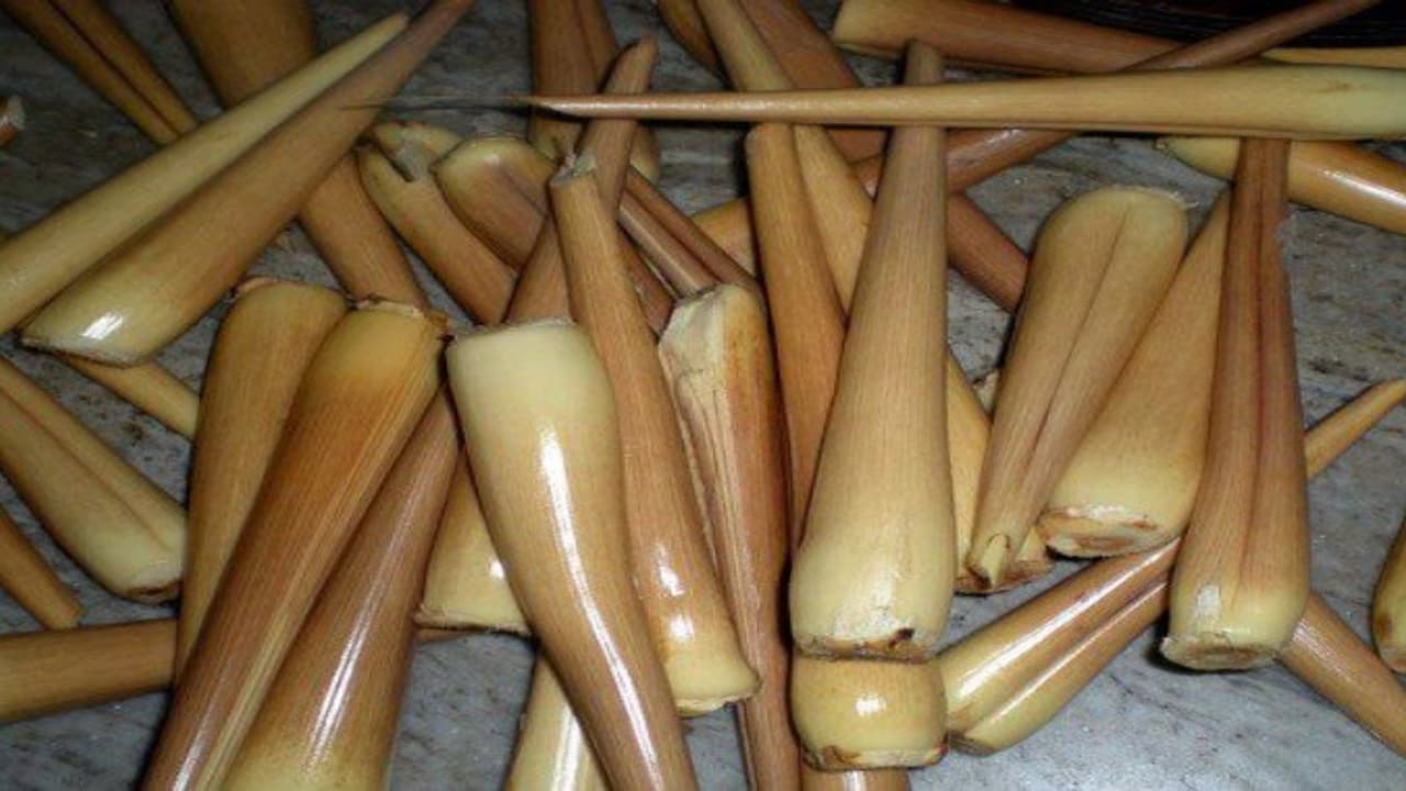 மனித குலத்திற்கு பயன் தரும் “பனை”… மனித குலத்திற்கு பயன் தரும் “பனை”…