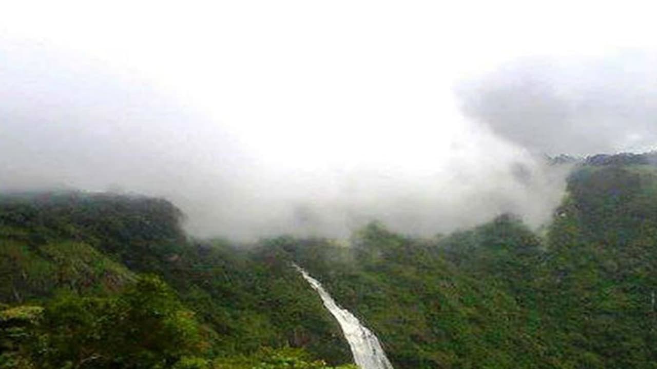 മഴയില്ലെങ്കിലെന്താ, ഈ വെള്ളച്ചാട്ടത്തില് ഒഴുക്കിനൊരു കുറവുമില്ല! മഴയില്ലെങ്കിലെന്താ, ഈ വെള്ളച്ചാട്ടത്തില് ഒഴുക്കിനൊരു കുറവുമില്ല!