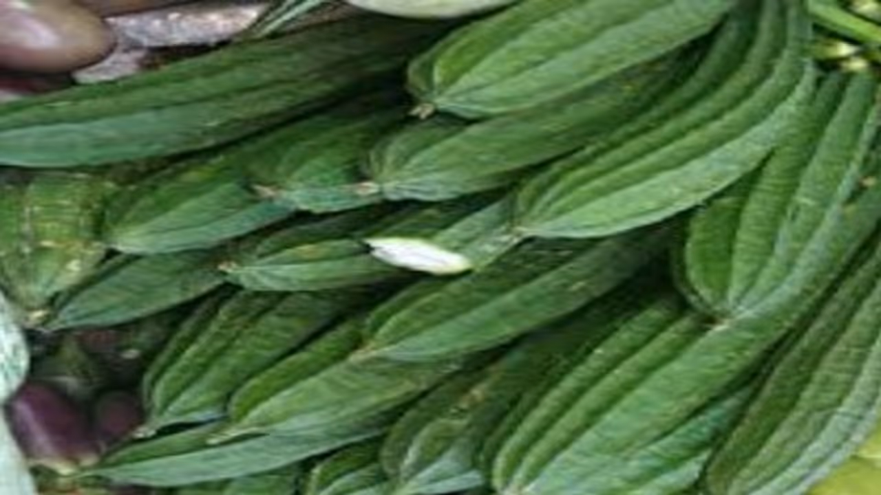 பீர்க்கன் காய் சாப்பிடுவதால் உங்களுக்கு இவ்வளவு பயன்கள் கிடைக்கும்…