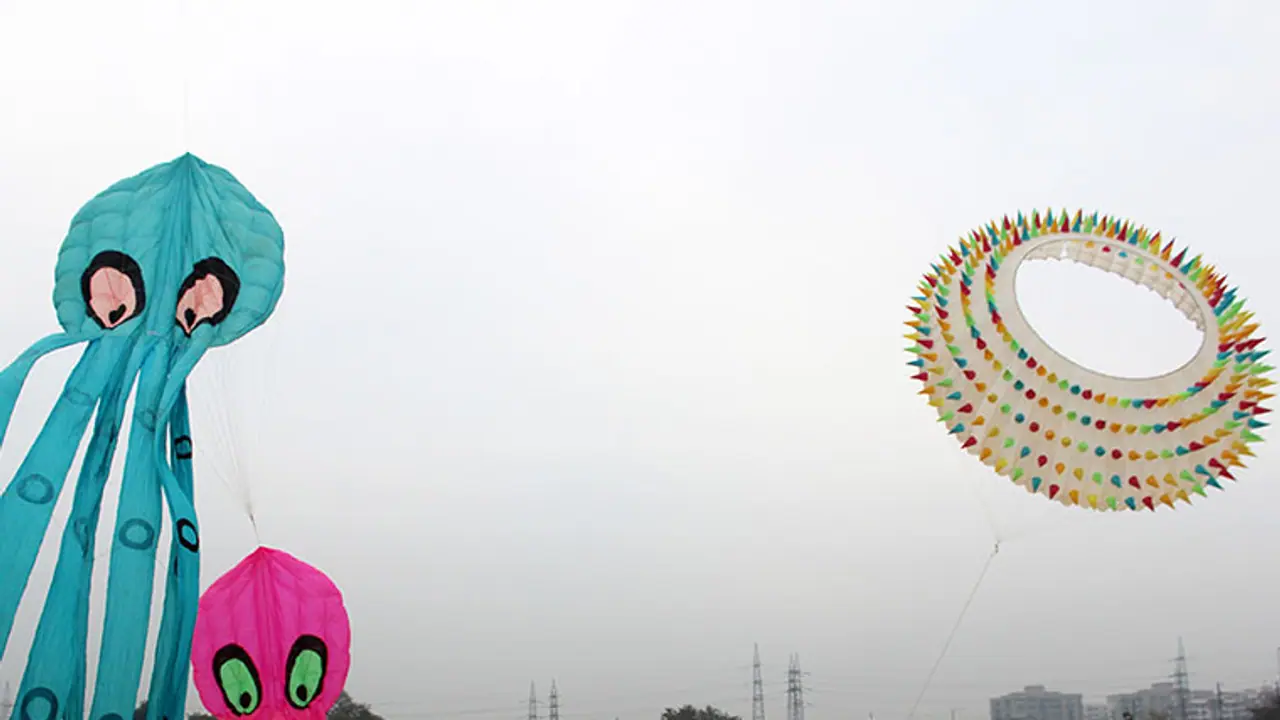 The Malabar kite festival goes international The Malabar kite festival goes international