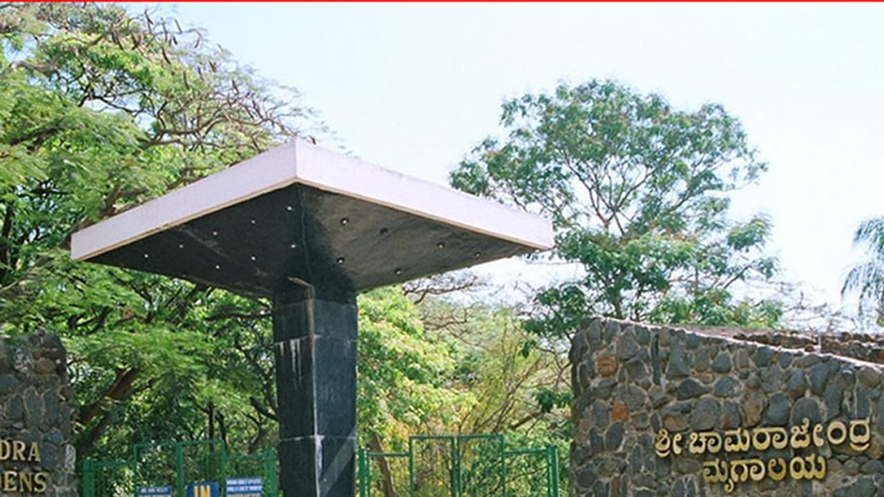 ಚಾಮರಾಜೇಂದ್ರ ಮೃಗಾಲಯದ ಹಲವು ಪ್ರಾಣಿಗಳ ದತ್ತು ಪಡೆದ RBI ಚಾಮರಾಜೇಂದ್ರ ಮೃಗಾಲಯದ ಹಲವು ಪ್ರಾಣಿಗಳ ದತ್ತು ಪಡೆದ RBI