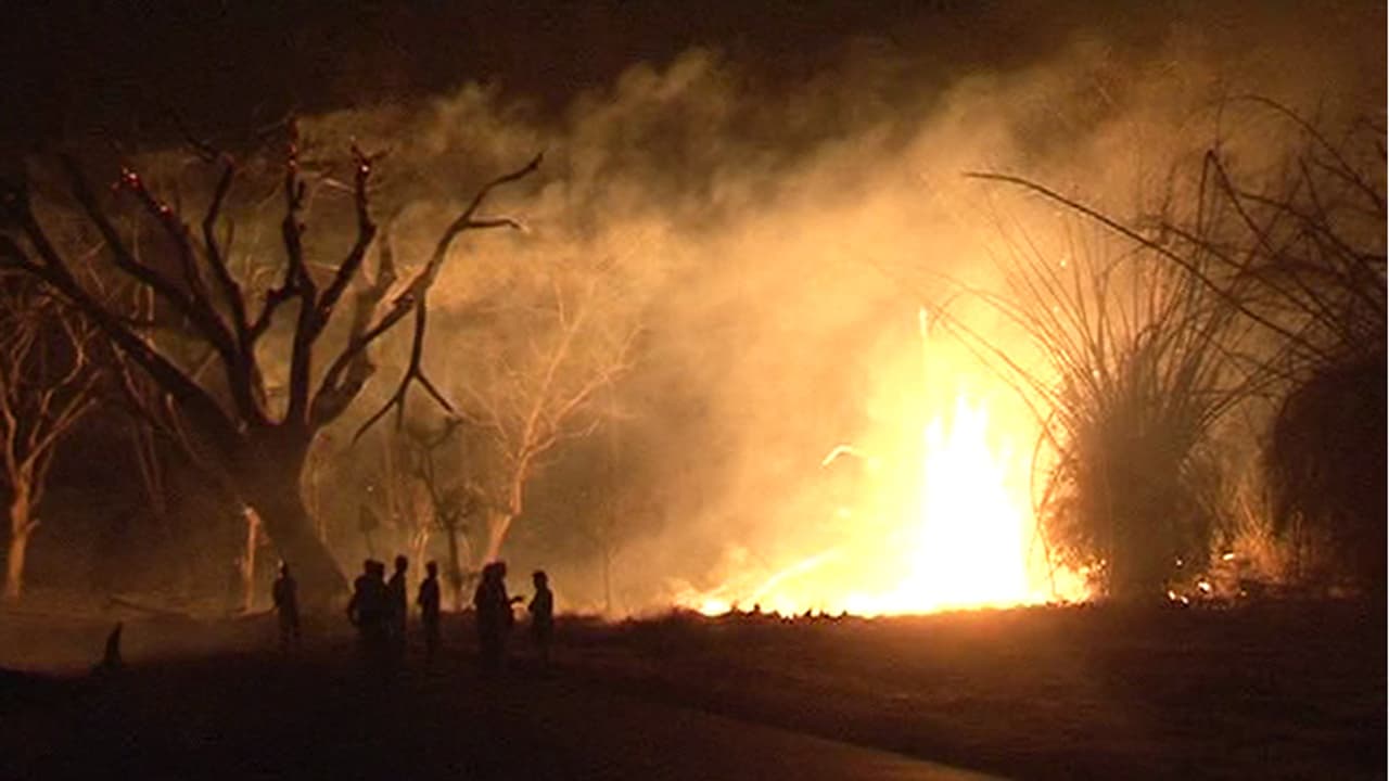 ಬಂಡೀಪುರ ಅರಣ್ಯಕ್ಕೆ ಬೆಂಕಿ: ಒಬ್ಬನ ಬಂಧನ ಬಂಡೀಪುರ ಅರಣ್ಯಕ್ಕೆ ಬೆಂಕಿ: ಒಬ್ಬನ ಬಂಧನ