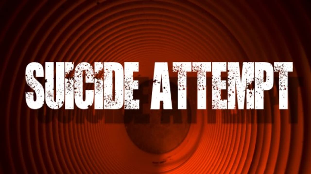 పుకార్లతో మనస్తాపం?: మహిళా ఎస్సై, కానిస్టేబుల్ ఆత్మహత్యాయత్నం పుకార్లతో మనస్తాపం?: మహిళా ఎస్సై, కానిస్టేబుల్ ఆత్మహత్యాయత్నం