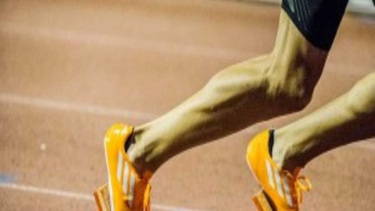 சீனியர் தடகளப் போட்டியில் செயிண்ட் ஜோசப் அணி ஆடவர், மகளிர் பிரிவில் முதலிடம்... சீனியர் தடகளப் போட்டியில் செயிண்ட் ஜோசப் அணி ஆடவர், மகளிர் பிரிவில் முதலிடம்...