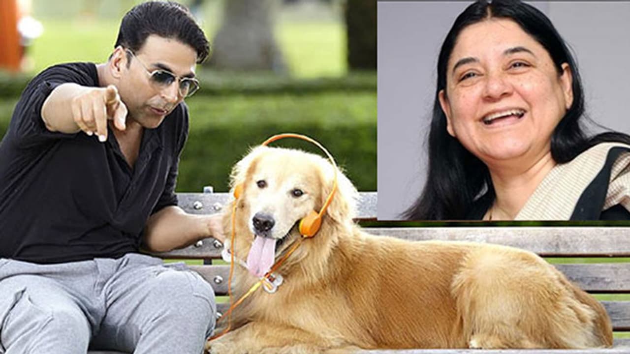 Thanks, Maneka, Bollywood has stopped animal cruelty in films Thanks, Maneka, Bollywood has stopped animal cruelty in films